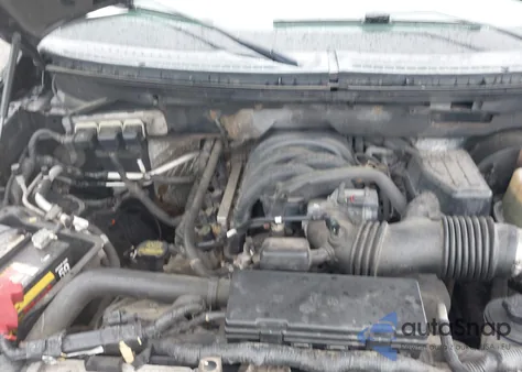 2009 Ford F-150 Xl z USA, uszkodzony, nr VIN 1FTRW14829FA39534